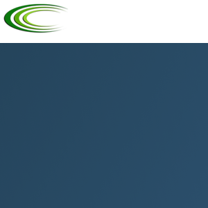 TAXATION SOLUTIONS, INC. logo