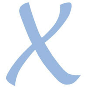 Onyx M.D. Locum Tenens Staffing logo