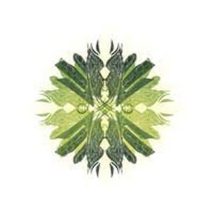 Turtle Island Staffing logo