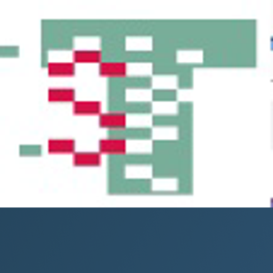 Technical Staffing Solutions logo