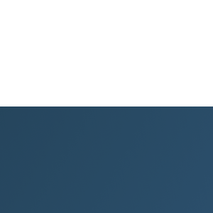 ny-lon design logo