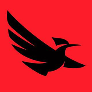 BlackWing Creative logo