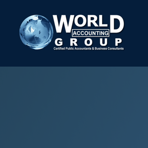 WORLD ACCOUNTING GROUP INC. logo