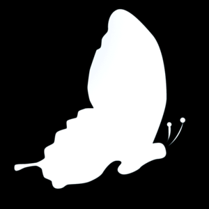 Zaahi Studios logo