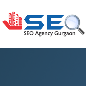 SEO Company in Gurgaon logo