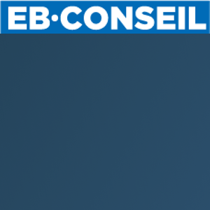 EB Conseil Fiscal Inc. logo