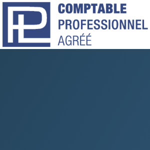 PL Chartered Professional Accountant Inc. logo