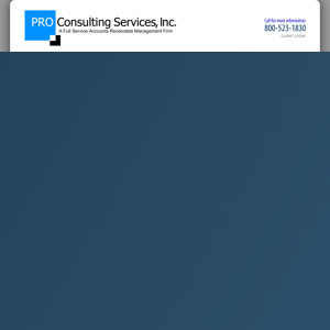 PRO Consulting Services, Inc. logo