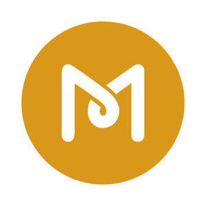 MS Web Designer logo
