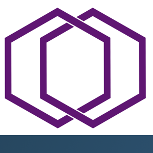 ETM Software Development PLC logo