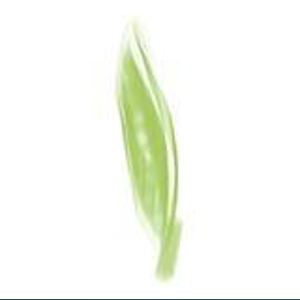 Peapod Design logo