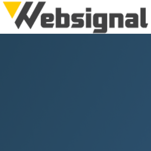 Websignal logo