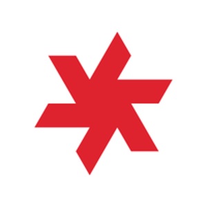 Raising iBrows logo