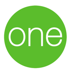 SolutionOne logo
