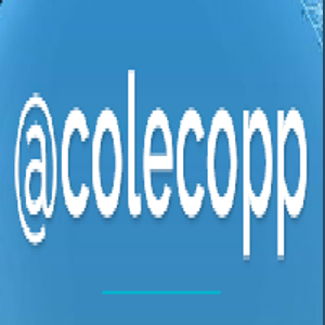 Nicole Copp Consulting logo