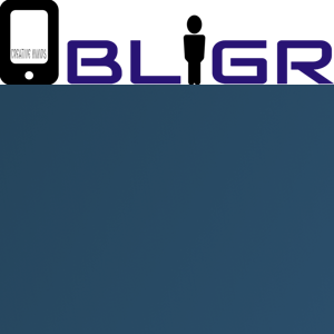 OBLIGR INDIA PVT LTD logo