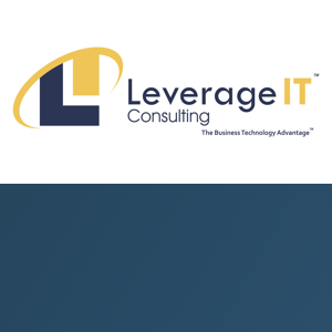 Leverage IT Consulting logo