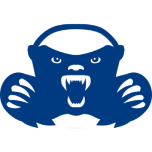 Netbadgers Ltd. logo