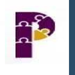 Professional Perspectives logo
