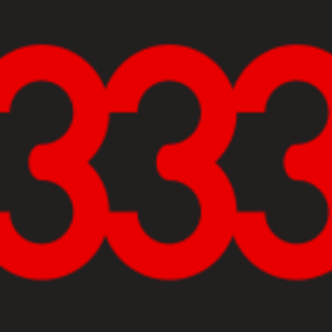 333 Websites logo