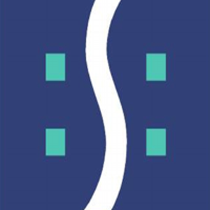 S4 Consulting logo