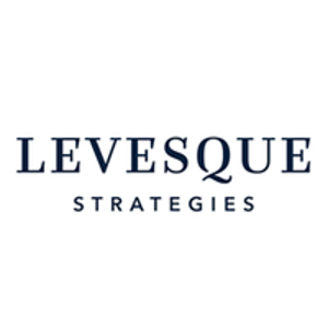 Levesque Strategies logo
