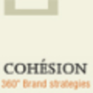 Cohesion Strategies logo