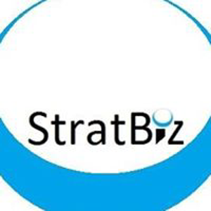 StratBiz Consulting logo