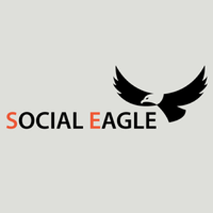 Social Eagle logo