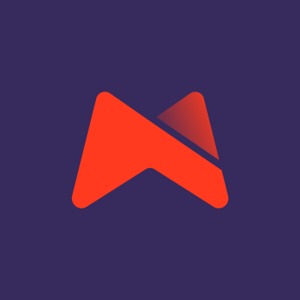 Madwise logo