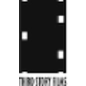 Third Story Films logo