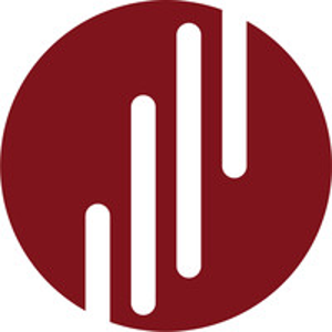 Envol Strategies logo
