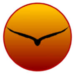 Friendly Eagle Software Inc. logo
