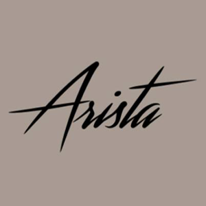 Arista Interior Design logo