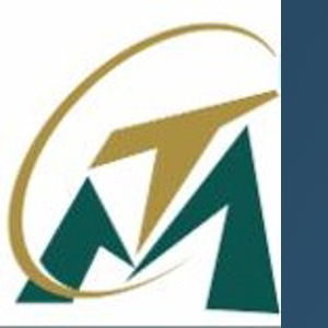 Triumph Marketing logo