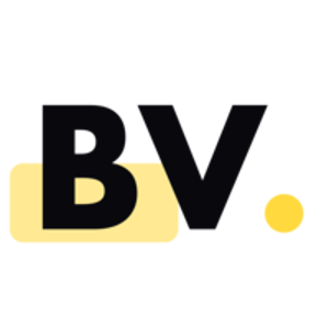Binary Vision Studios logo