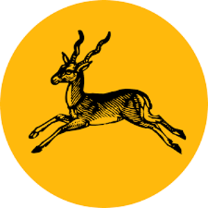 Young Brands logo