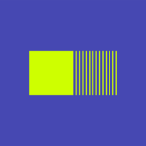 Signal Noise logo
