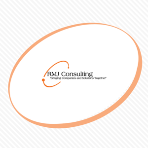 RMJ Consulting LLC logo