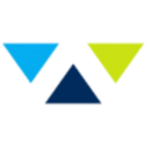 Wiser Strategies logo