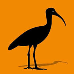 Songbird Media Group logo