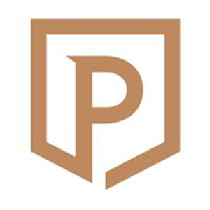 Propeller Consulting logo