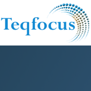 Teqfocus Consulting LLC logo