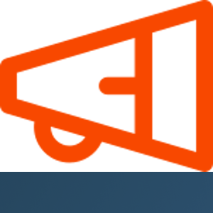Banner Director logo