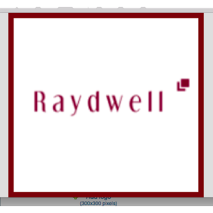 Raydwell Consulting Inc. logo