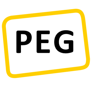 PEG Micro Informatique logo