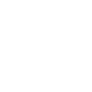 SAM&amp;YOUNG logo