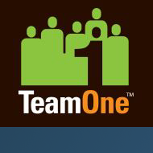 TeamOne logo