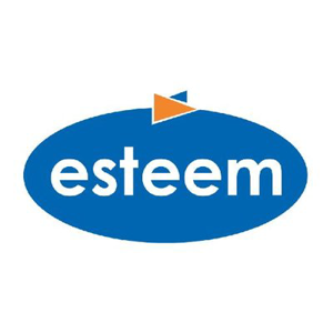 Esteem Systems Ltd logo
