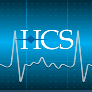 The Healthcare Staffing Group LLC logo